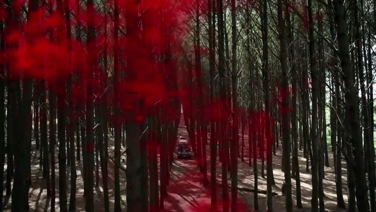 A Floresta que se Move - Trailer Oficial