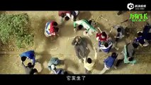 [Trailer] [Eng Sub] Han Geng 韩庚 - Ever Since We Love 万物长生 (w/ Fan Bingbing)