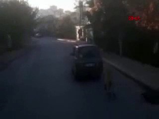 Köpeği otomobile bağlayıp koşturdu