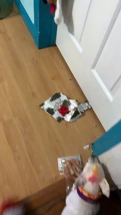 Cheeky Dog Opens Christmas Present Early