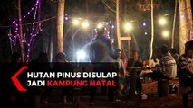 Hutan Pinus Disulap Jadi Kampung Natal di Sulawesi Barat