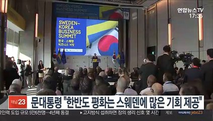 문 대통령 "한반도 평화는 스웨덴에 더 많은 기회 제공"