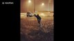 Man vs wind! Brave South African man blown back by strong gales in Iceland storm