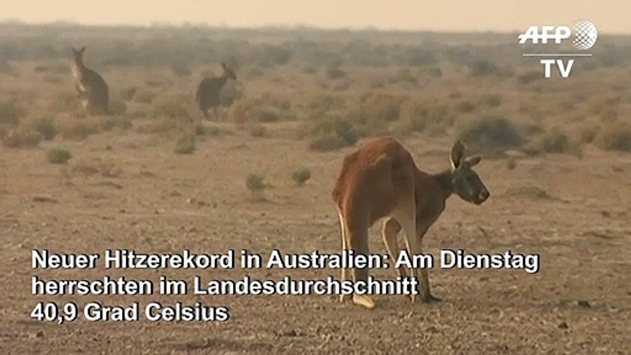 40,9 Grad - Hitzerekord in Australien
