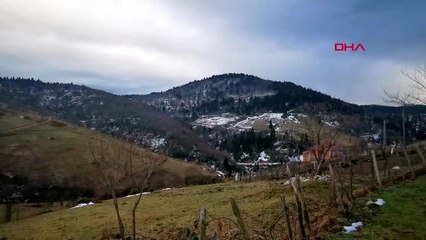 Ordu fındıkta zirai dona karşı kireçli önlem