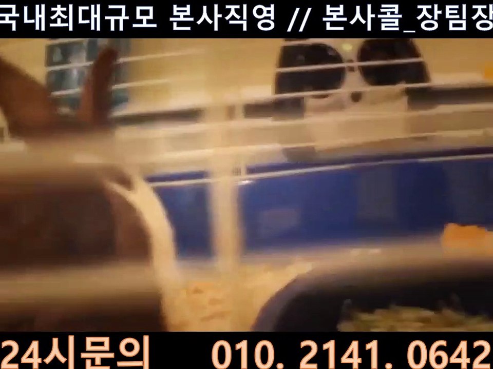 쓰리랑게임 O1O-2141-O642 99게임바둑이 ◇ 쓰리랑게임 혜택이필요하다면장팀장