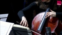 Maurice Ravel : Quatuor à cordes en fa majeur, II. Assez vif. Très rythmé (Quatuor Mona)