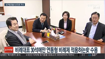 4+1 석패율제에 발목…한국 "비례당 창당"