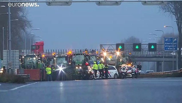 Тракторы на дорогах Нидерландов