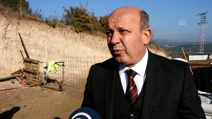 Anneleri telef olan civcivlere kaz, annelik yapıyor - MANİSA