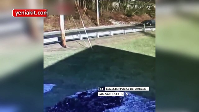 Seyir halindeki araba ağaçtan kıl payı kurtuldu