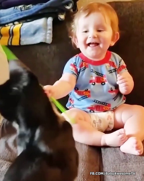 Funny Animals Trolling Babies - Baby and Pets Video