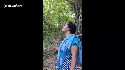 'This is for you': Filipino woman climbs massive coconut tree to prove to her Canadian friends that she can