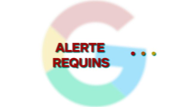 Des centaines de requins retrouvés morts emmêlés dans un filet