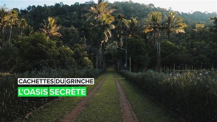 Cachette du Grinch : Le joyau caché des Thaïlandais dans la forêt