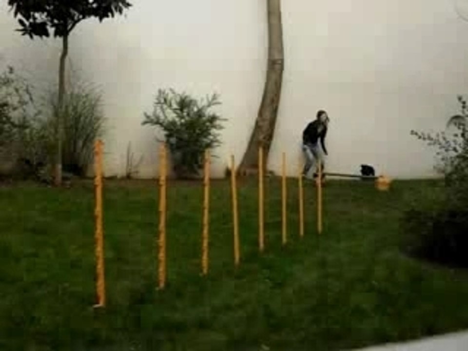 Indy Slalom