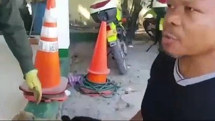 Esta perrita adoptó a un mono capuchino y ni las autoridades ambientales han podido separarlos