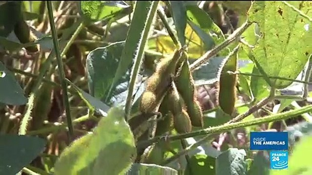 African-American farmers: the uphill struggle against discrimination