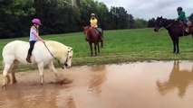 cavallo decide di giocare nel fango