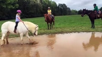 cavallo decide di giocare nel fango