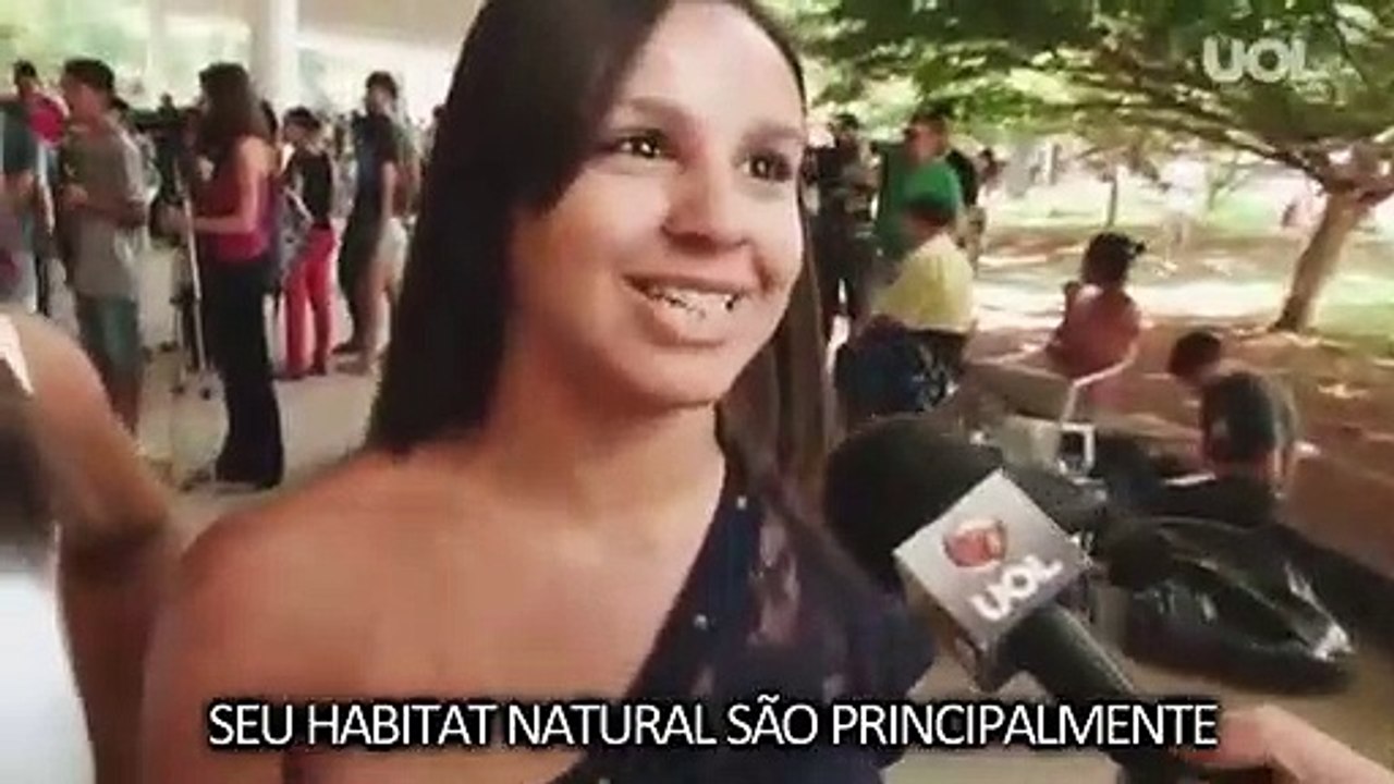 Documentário: ROLEZEIRAS