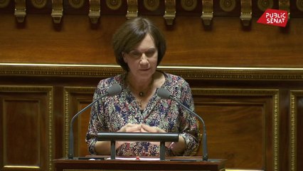 « Il n’y a pas un euro supplémentaire qui soit donné pour la lutte contre les violences faites aux femmes » dénonce Laurence Rossignol