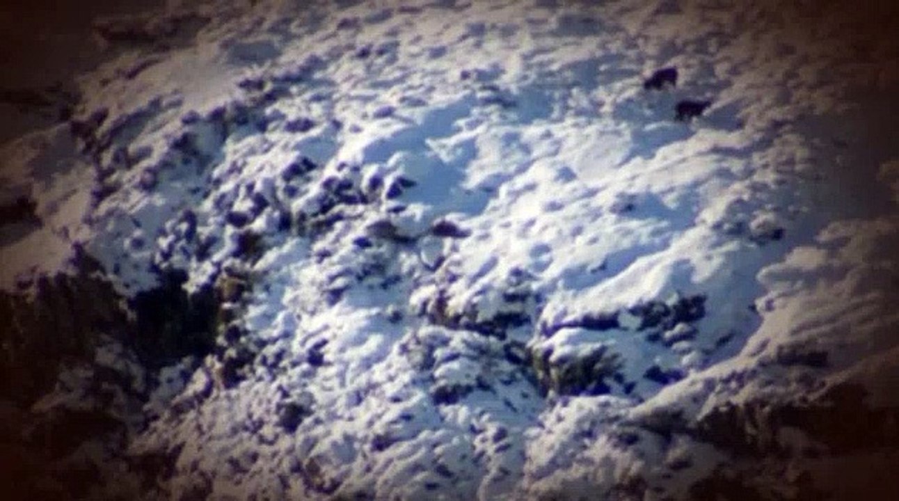 MeatEater S02E06 The Top of the Bottom of the WorldNew Zealand Tahr