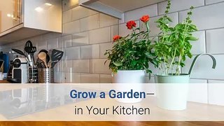 Grow a Garden — in Your Kitchen