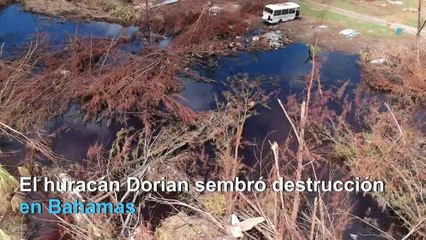 AFPTV repasa las principales historias climáticas de 2019