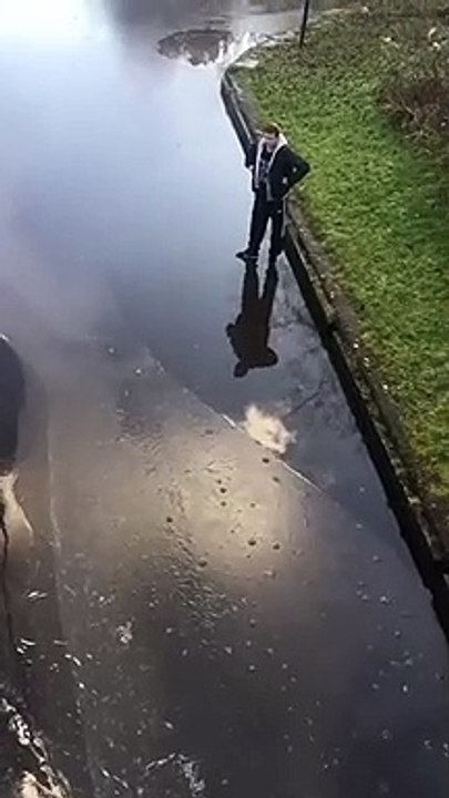 Vous pensez qu'il veut juste traverser la rue... pas du tout. Et ça va mal tourner pour lui