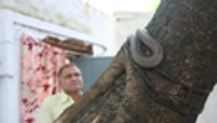 Qhubo-3e7e6cab-f61a-4337-ac81-17d47f6e551d-hd-web.mp4