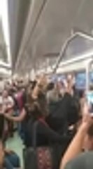 Qhubo-WhatsApp Video 2019-11-27 at 8.16.43 PM (1).mp4