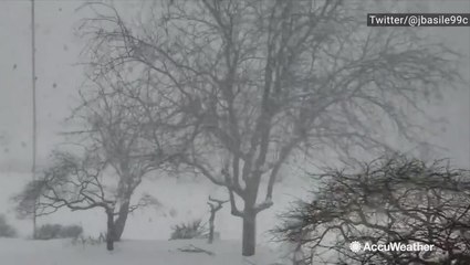 Upstate New York getting blasted by snow squalls