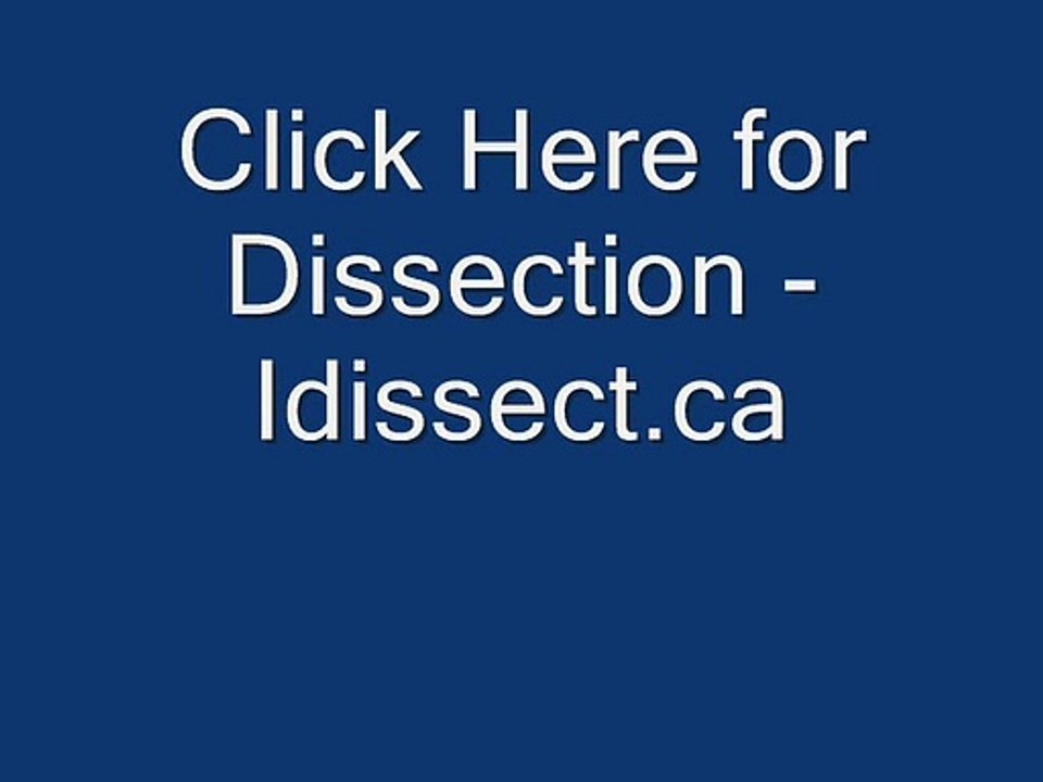 Click Here for Dissection - Idissect.ca