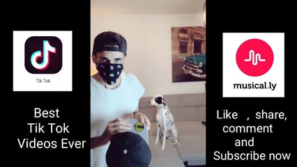 Best Tik Tok and musically video ever|dannero best Tik Tok videos|2019