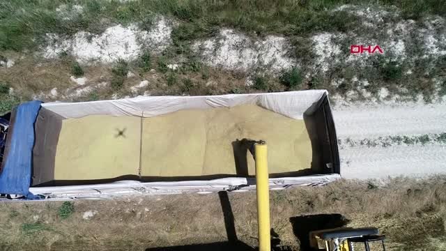 Konya 'buğday ithalatı kararı, fiyatları etkilerse ekim alanları azalabilir'