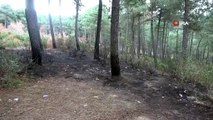 Aydos Ormanında üç ayrı noktada yangın çıktı