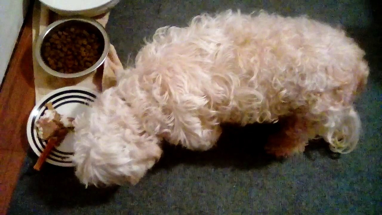 Princess Ella Eating Her Cake