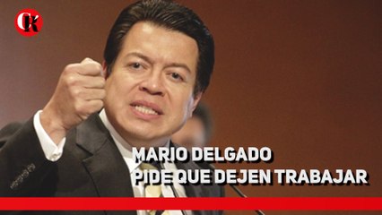 Mario Delgado pide que dejen trabajar