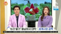 [네트워크 투데이] '논산 딸기' 동남아서 대박! 세계시장 공략에 성공