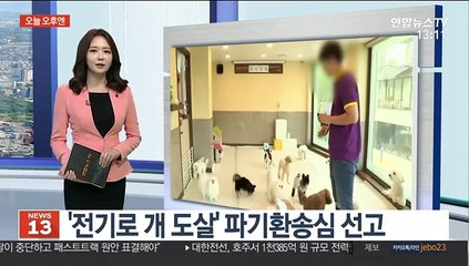 [오늘 오후엔] '전기로 개 도살' 파기환송심 선고 外