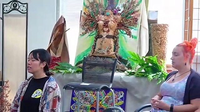 Magical Collection of Crystals & Minerals - AUS Crystals