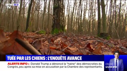 Femme tuée par les chiens: les enquêteurs écartent la piste du promeneur et de son malinois