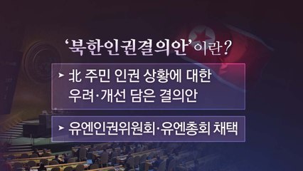[더뉴스 더콕] 유엔총회서 15년째 채택...'북한인권결의안'이란? / YTN