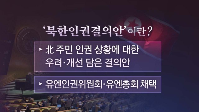 [더뉴스 더콕] 유엔총회서 15년째 채택...'북한인권결의안'이란? / YTN