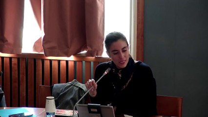 Mission d'information sur l'identité numérique : Table ronde de chercheurs - Mercredi 18 décembre 2019