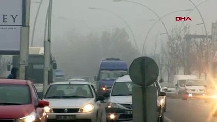 Kış günü bahar havasına devam! İşte 5 günlük hava tahminleri