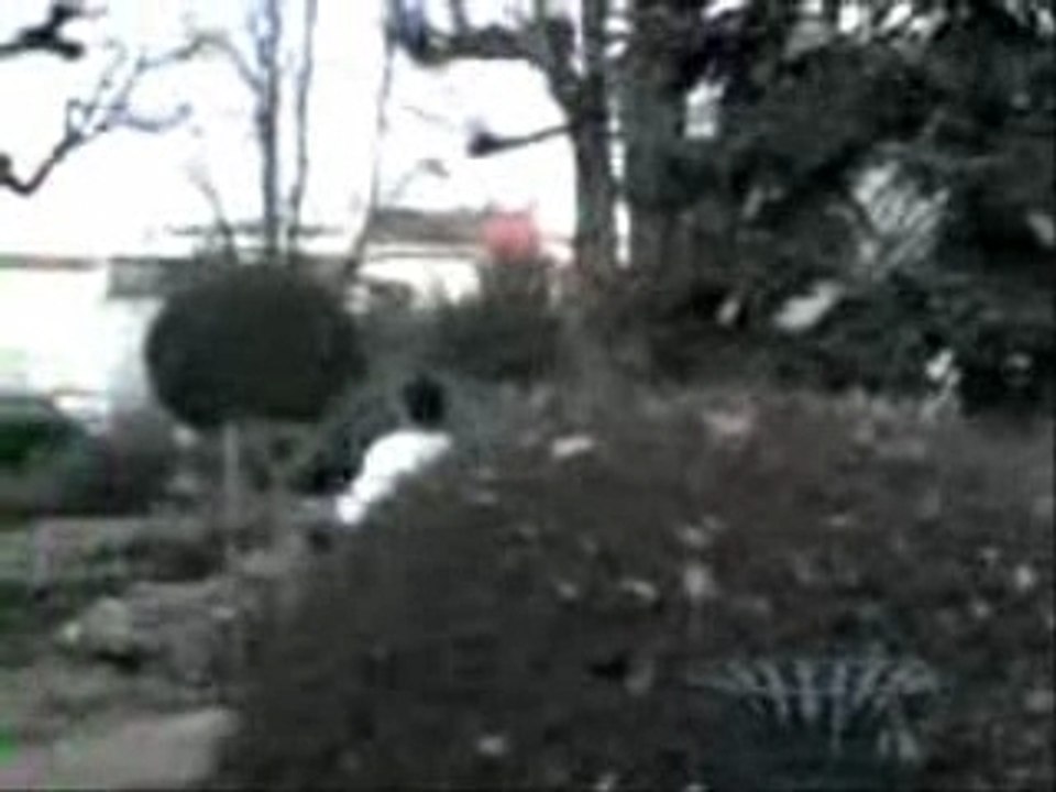 DIM/SIMON LANCER DE CANETTES