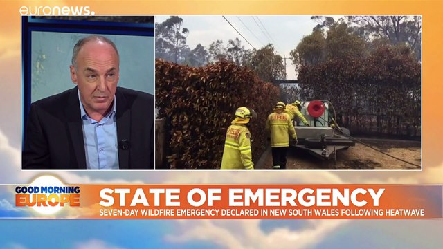 Australia wildfires: New South Wales declares state of emergency as blaze ravages region