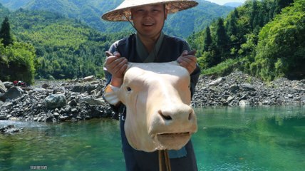 【Shyo video】560元買個40斤重的牛頭，用大鐵鍋燉8小時，抱著直接開啃，吃著真爽